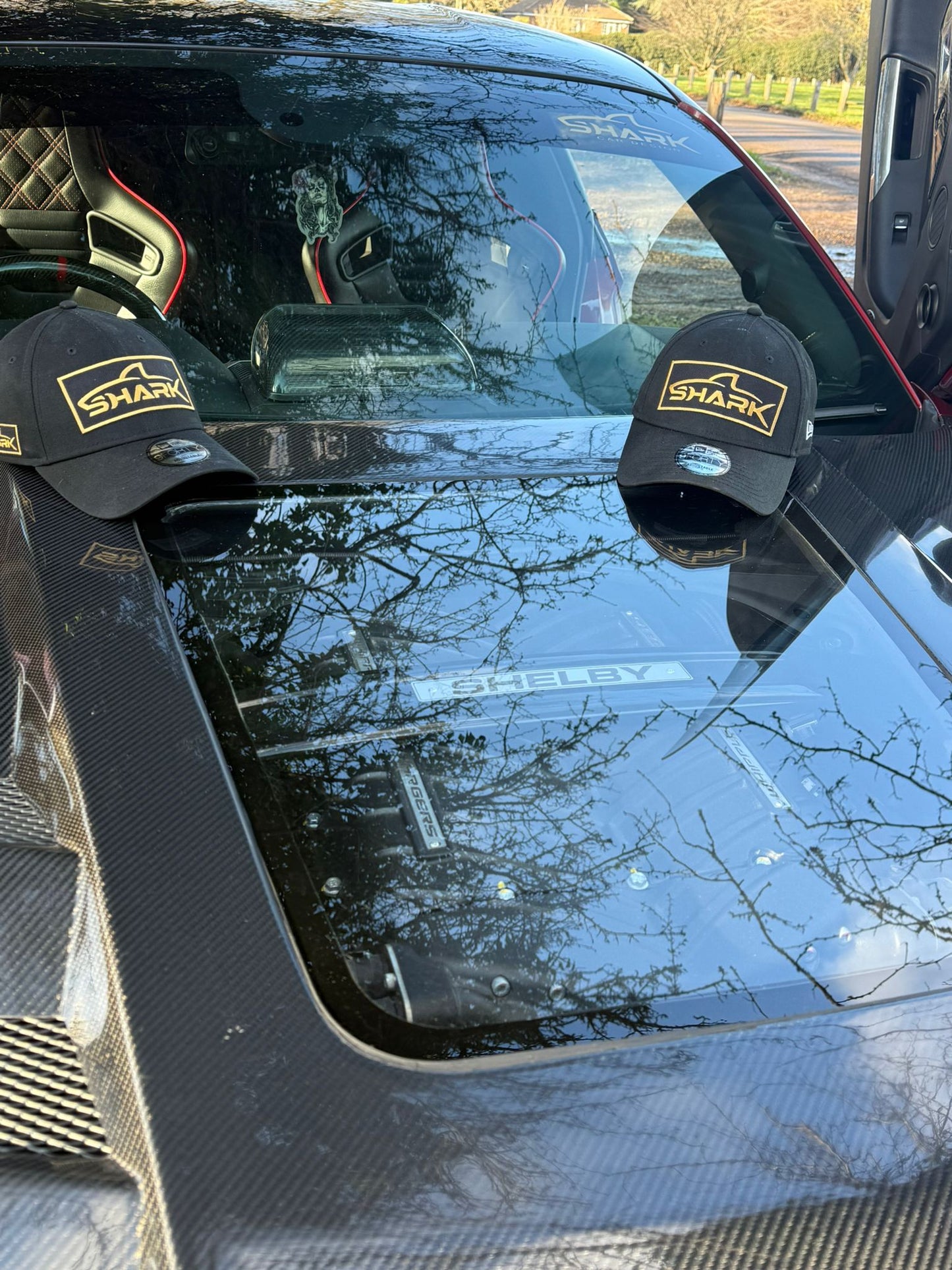 15-17 Ford Mustang Gt Carbon Fibre Hood with Engine Bay Window