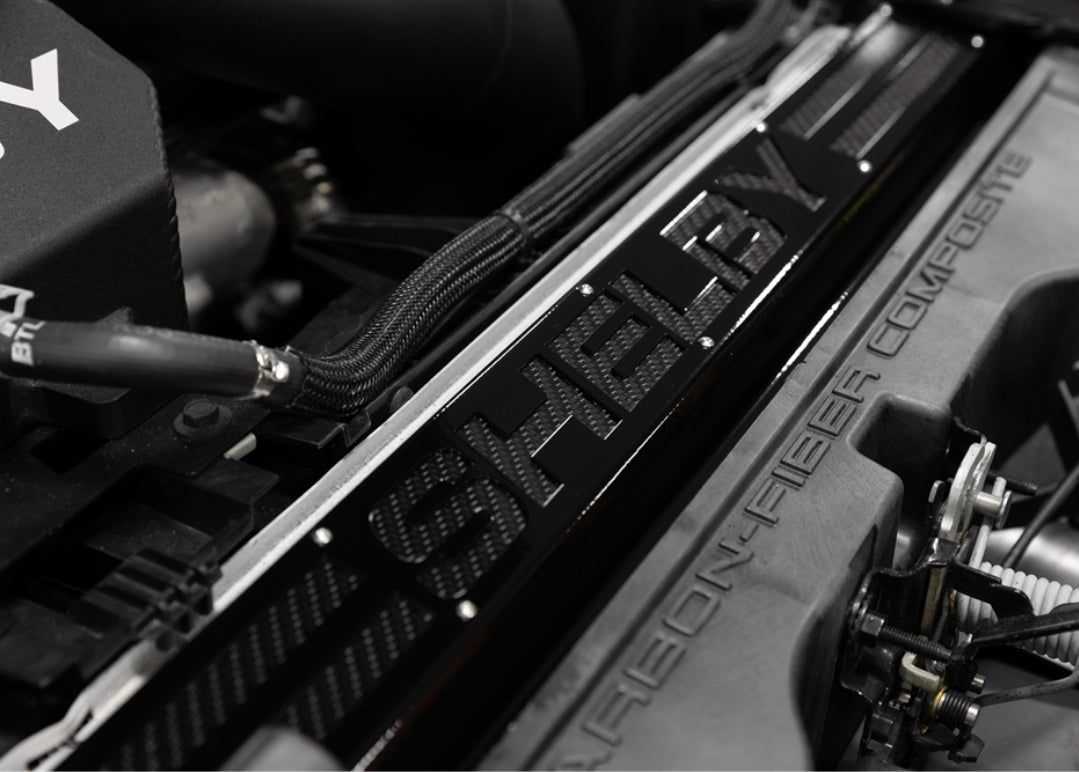 Shelby Radiator Cover (Carbon Fiber Insert) suggest I
