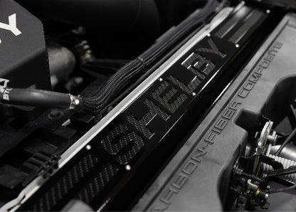 Shelby Radiator Cover (Carbon Fiber Insert) suggest I