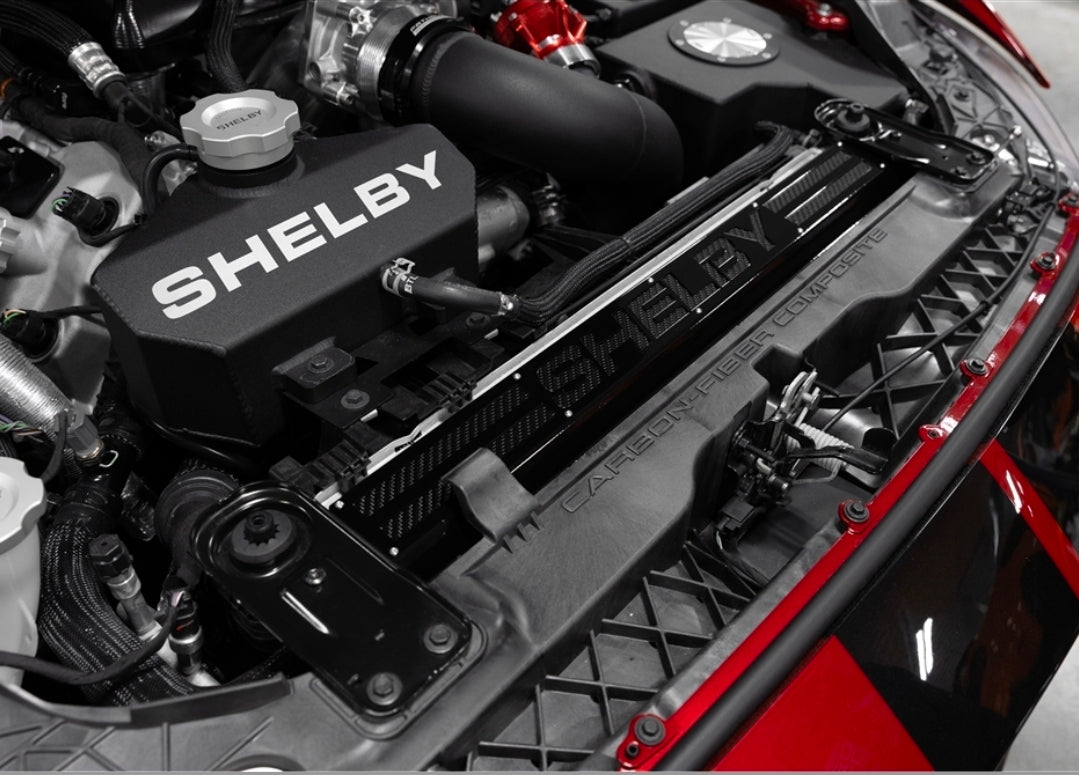 Shelby Radiator Cover (Carbon Fiber Insert) suggest I
