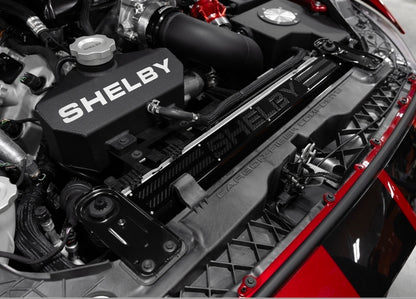 Shelby Radiator Cover (Carbon Fiber Insert) suggest I