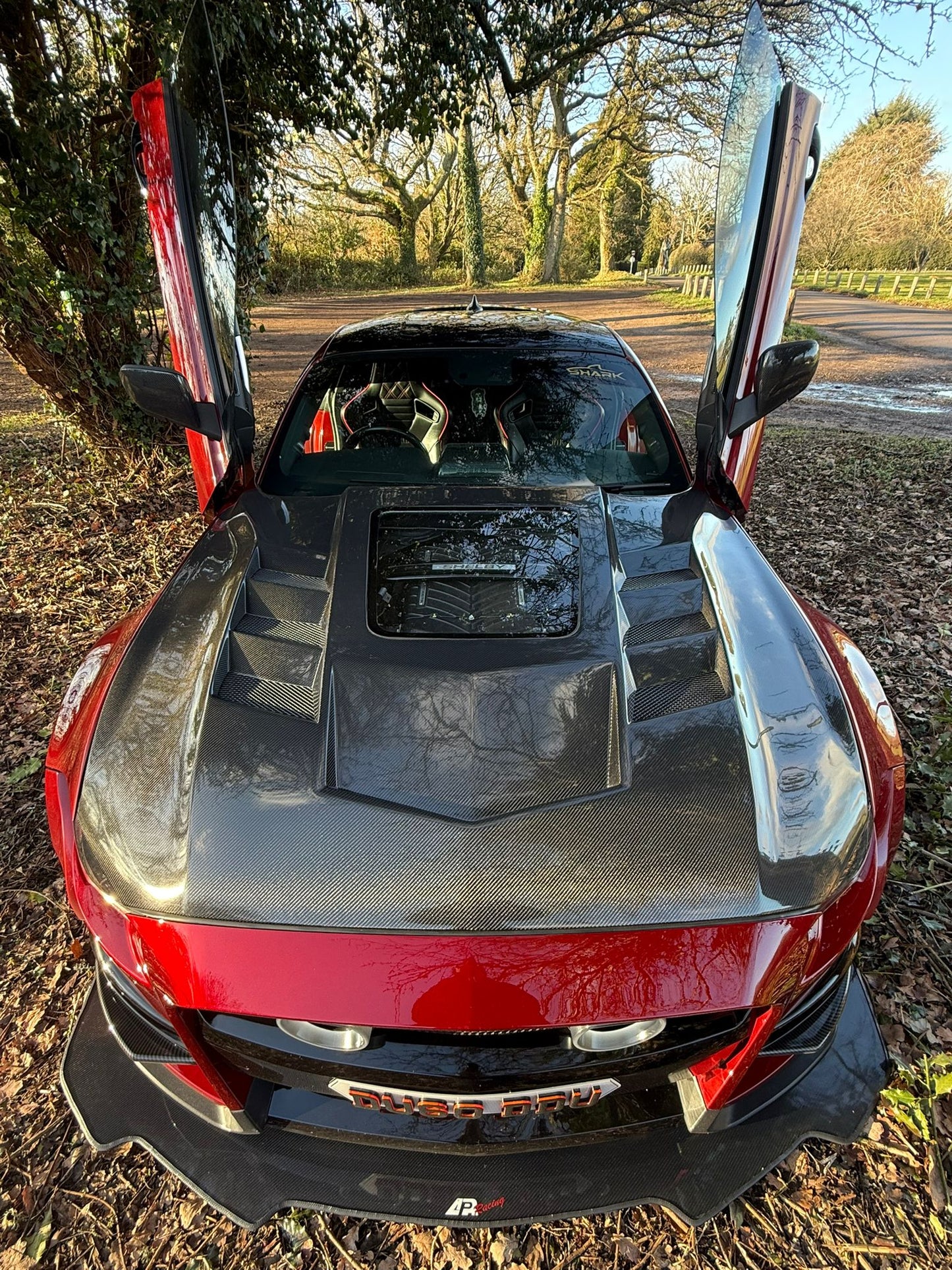 18-23 Ford Mustang Gt Carbon Fibre Hood with Engine Bay Window