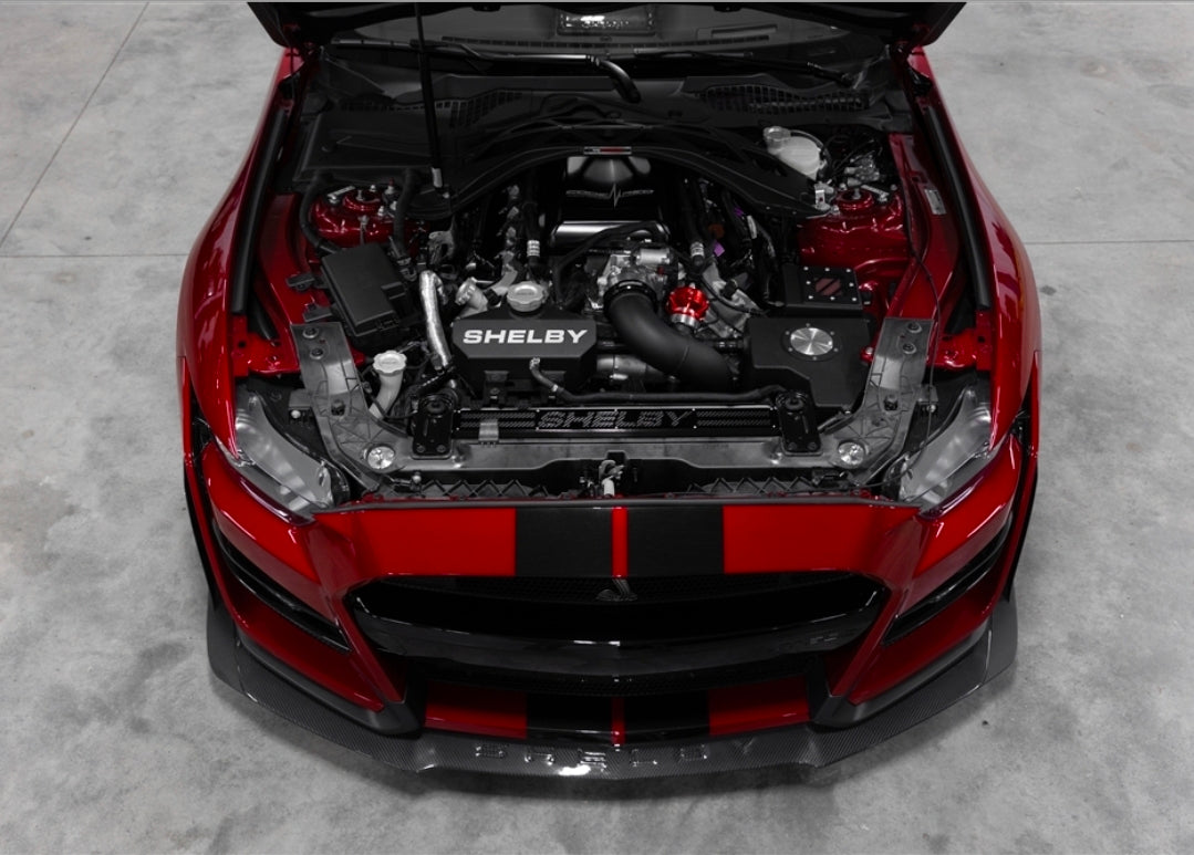 Shelby Radiator Cover (Carbon Fiber Insert) suggest I