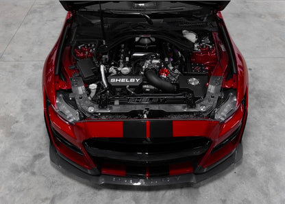 Shelby Radiator Cover (Carbon Fiber Insert) suggest I