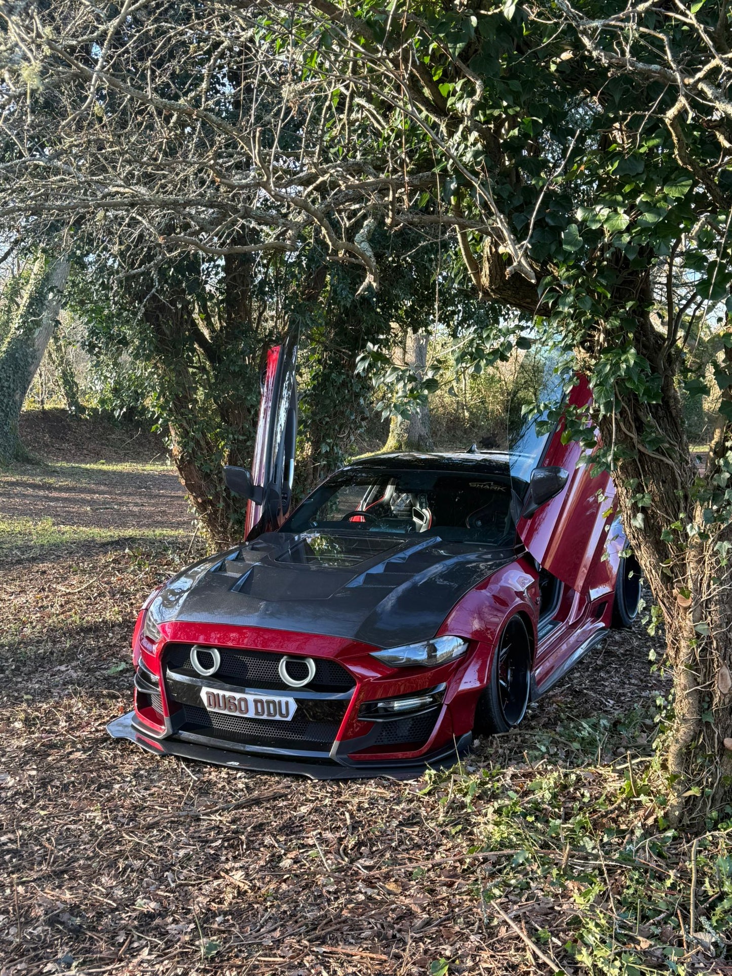 15-17 Ford Mustang Gt Carbon Fibre Hood with Engine Bay Window