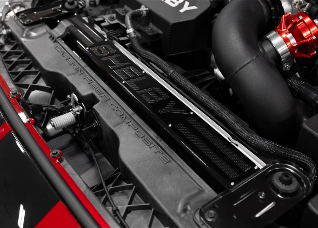 Shelby Radiator Cover (Carbon Fiber Insert) suggest I